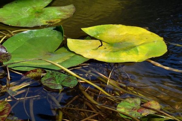 Haven_8_580